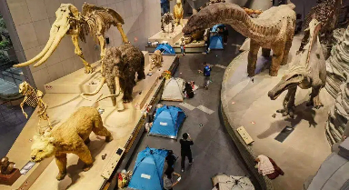 這個博物館推出與恐龍“同眠”