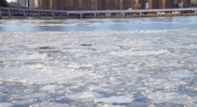 美冬季風暴和嚴寒天氣已致逾百人死亡