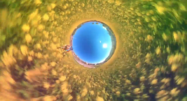 換個(gè)視角看油菜花盛開(kāi),能有多壯觀